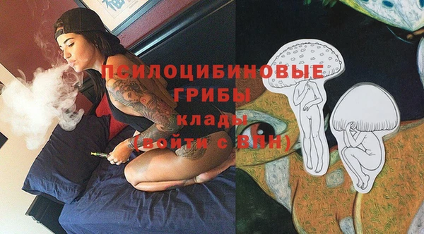 гидра Абинск