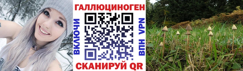 Псилоцибиновые грибы ЛСД  Абаза 